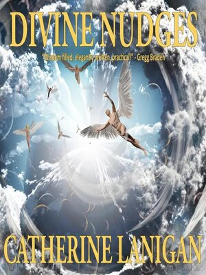 cover image of Divine Nudges